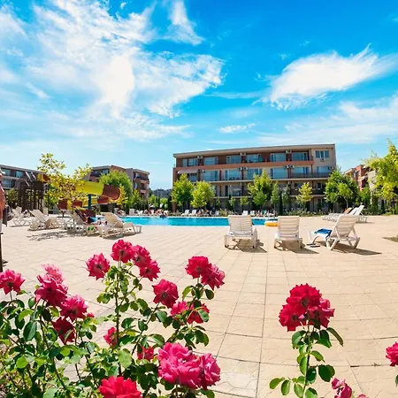 And Orchid Noks סאני ביץ'