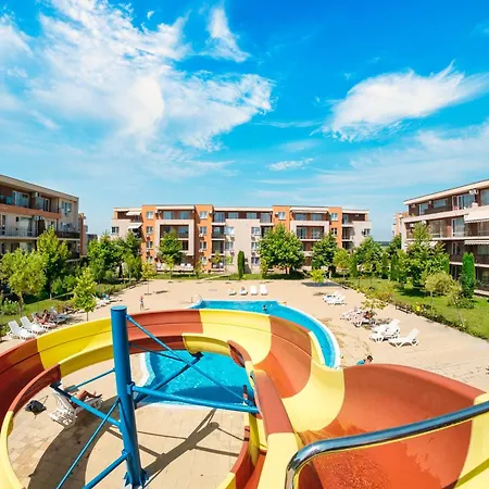 And Orchid Noks Słoneczny Brzeg