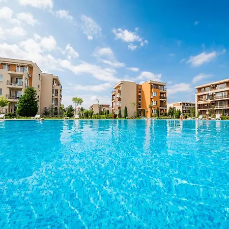 And Orchid Noks * Sunny Beach